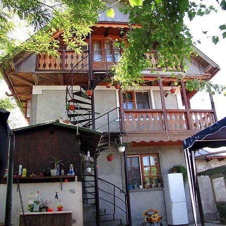 Отель Casa Oana Сулина Экстерьер фото